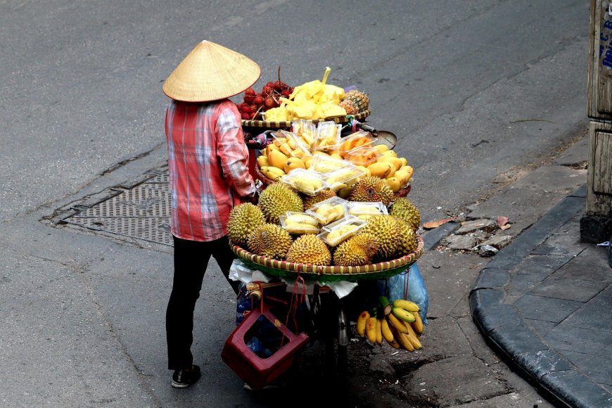 Bangkok Street Food: A Culinary Journey Through the City's Best Eats